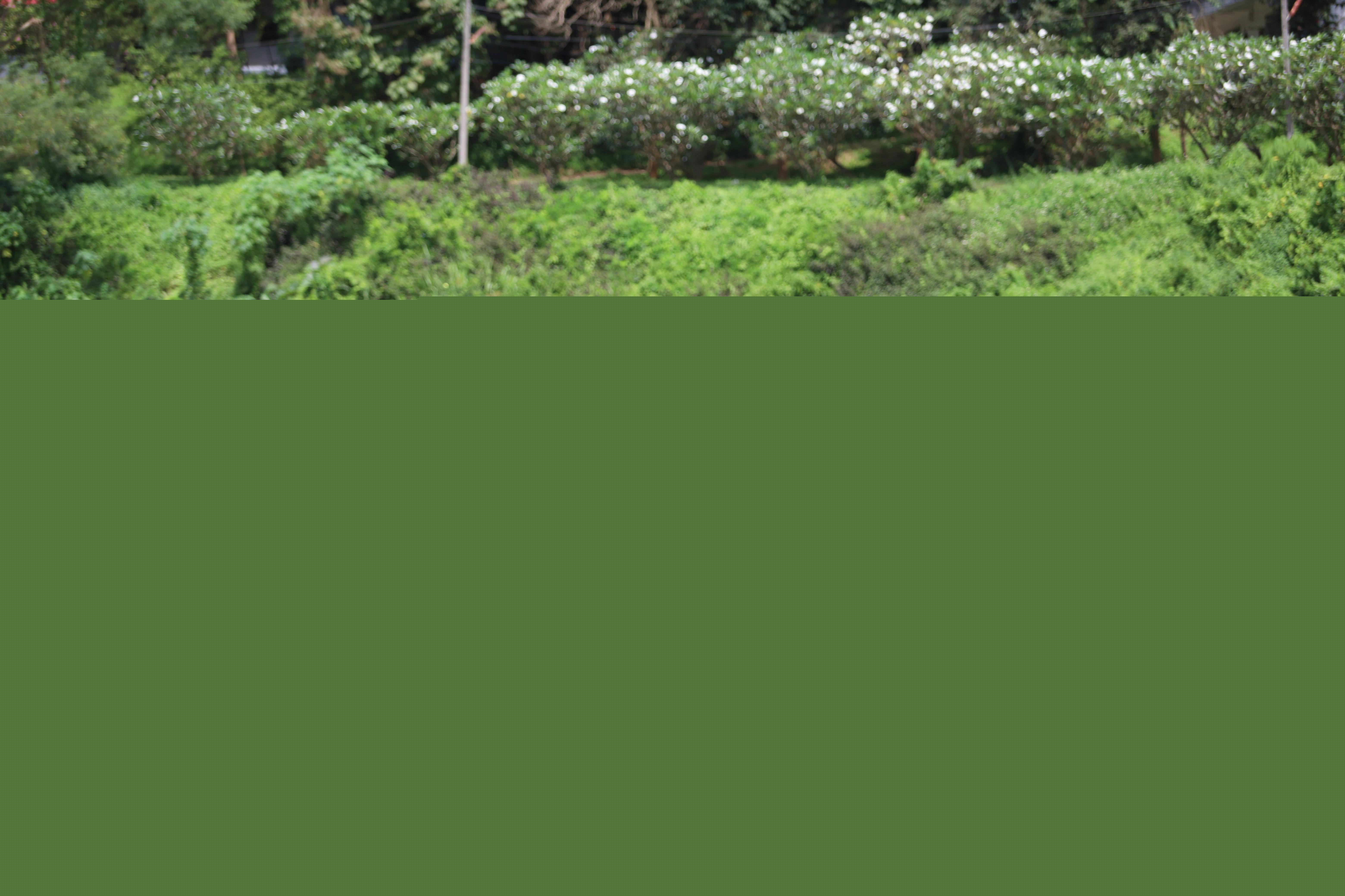 57. การแข่งขันฟุตบอล11คนหน่วยงานคู่ที่2