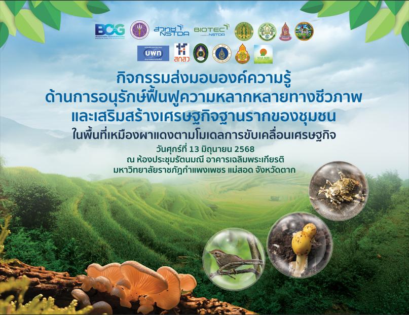 จัดกิจกรรมปิดโครงการและส่งมอบผลงานภายใต้ชุดโครงการ การอนุรักษ์ฟื้นฟูความหลากหลายทางชีวภาพและเสริมสร้างเศรษฐกิจฐานรากของชุมชนในพื้นที่เหมืองผาแดงฯ
