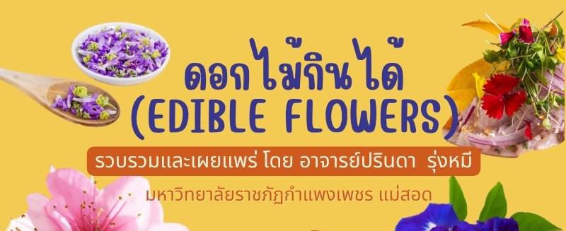 องค์ความรู้เรื่อง: ดอกไม้กินได้